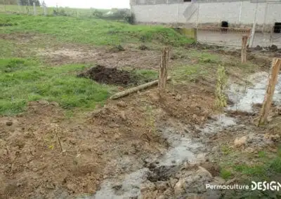 Lauriane et Charles Durant, gérants de la Ferme du Vieux Poirier en Alsace depuis 2012, nous expliquent comment et pourquoi ils ont transformé leur micro-ferme grâce à la permaculture.