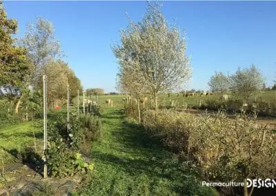 Lauriane et Charles Durant, gérants de la Ferme du Vieux Poirier en Alsace depuis 2012, nous expliquent comment et pourquoi ils ont transformé leur micro-ferme grâce à la permaculture.