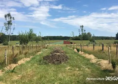 Lauriane et Charles Durant, gérants de la Ferme du Vieux Poirier en Alsace depuis 2012, nous expliquent comment et pourquoi ils ont transformé leur micro-ferme grâce à la permaculture.