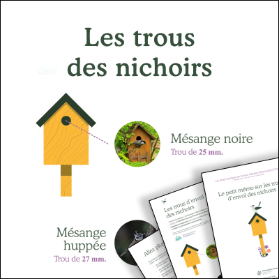 Le petit mémo sur les trous d’envol des nichoirs