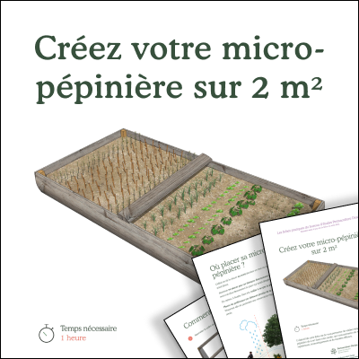 Créer votre micro-pépinière sur 2 m²