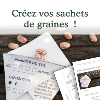 Créez vos sachets de graines !