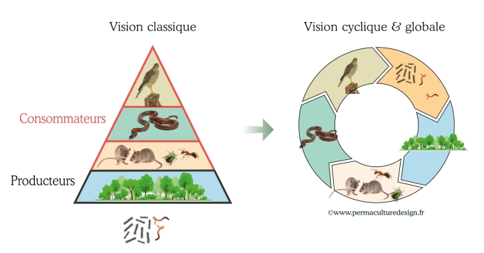 Intérêts des éthiques de la permaculture.