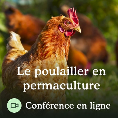 Conférence permaculture poulet et poulailler.