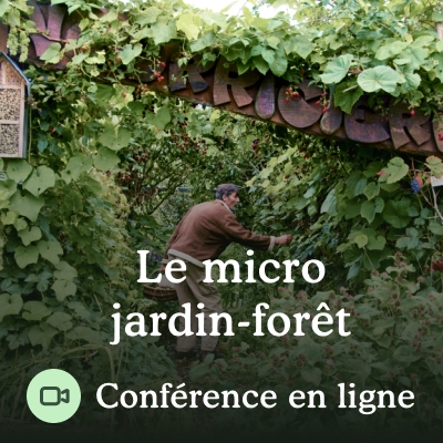 Conférence en ligne gratuite sur le jardin-forêt