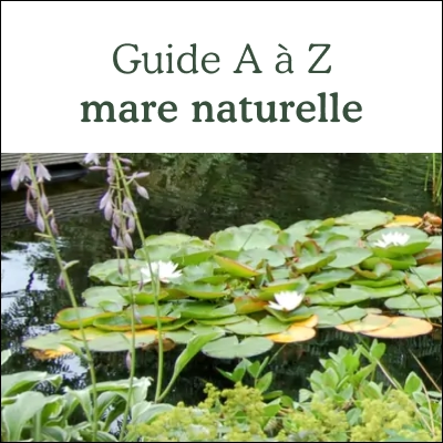 La mare naturelle de A à Z