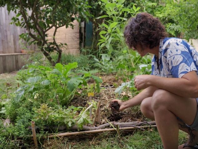 Petit jardin en permaculture en ville avec des buttes de culture où la terre est devenue fertile et bien structurée grâce aux apports répétés au fil des ans de matières organiques.