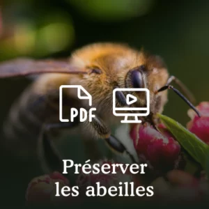 La haie des abeilles