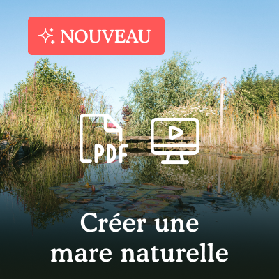 Créer votre mare naturelle