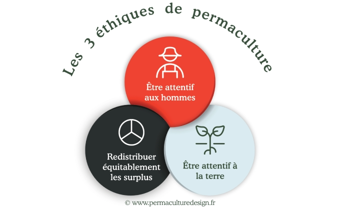 Les 3 éthiques au cœur de la permaculture