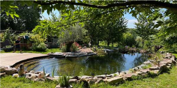 Exemple de piscine naturelle réalisée par notre équipe de professionnels passionnés en Gironde.