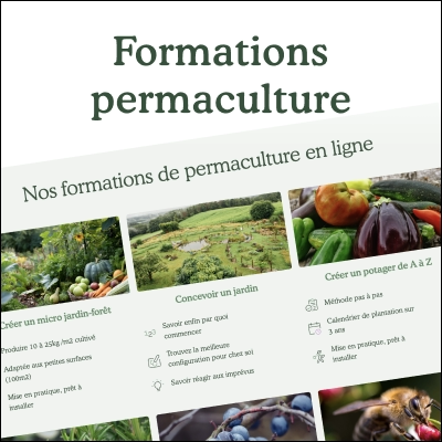 Formations en permaculture