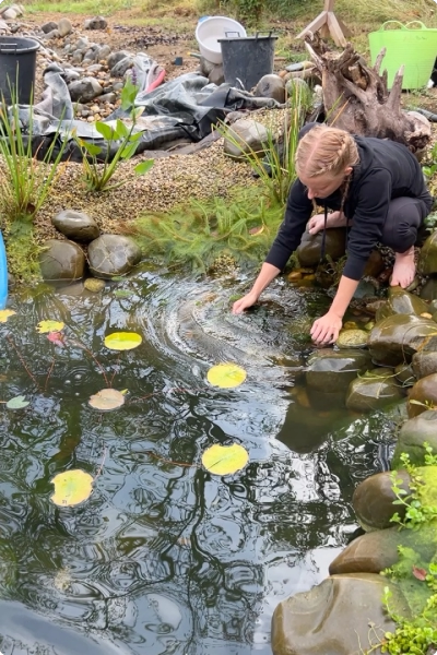 Formation permaculture mare naturelle.