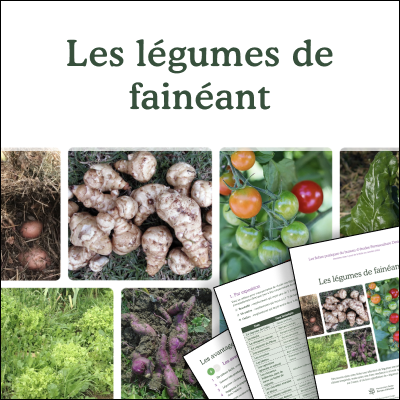 Les légumes de fainéant