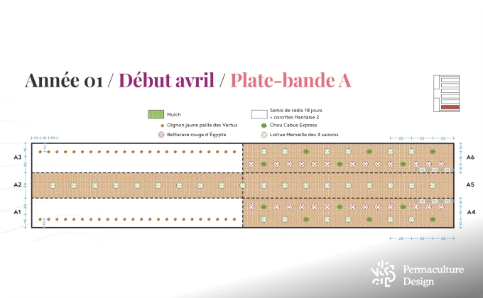 Exemple de plan potager en permaculture détaillé avec les emplacements notés pour chaque légume