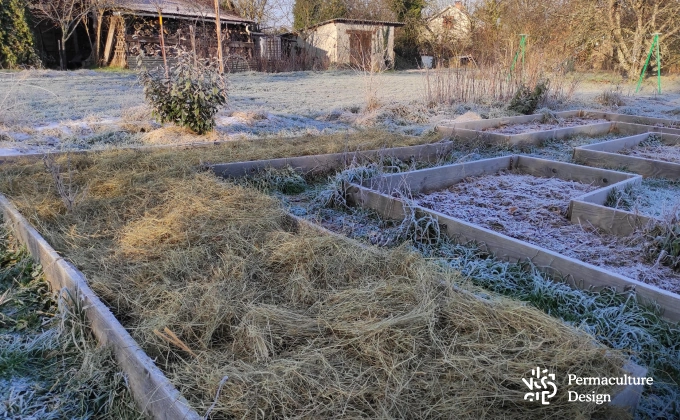 Platebandes du potager en permaculture avec paillage de foin en hiver