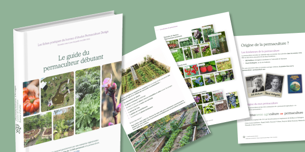 Formation permaculture notre guide pour les début et fiches pratiques gratuites