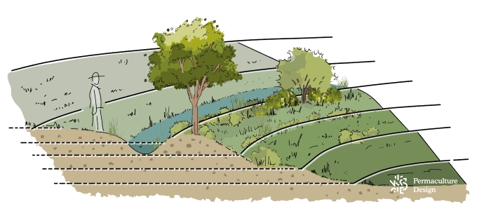 Principe baissière en permaculture.