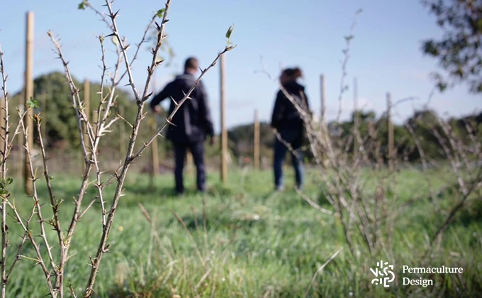 Verger diversifié en permaculture en Normandie dans l'Eure.