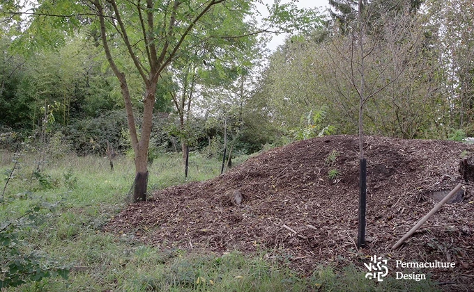 Compost dans ferme en maraîchage agroécologique.