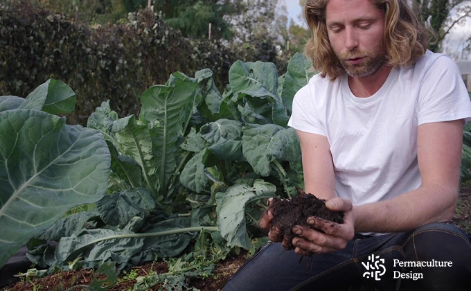 Terre fertile dans ferme en maraîchage agroécologique.