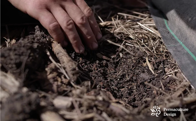 Main terre dans une ferme en maraîchage sur sol vivant.