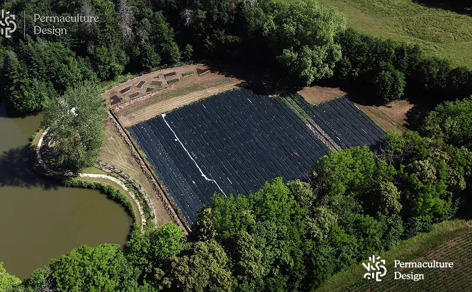 Planches dans une ferme en maraîchage sur sol vivant.