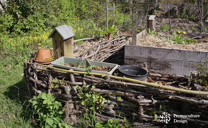Haie sèche pour abriter les prédateurs de limaces.