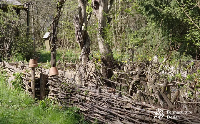 Haie sèche abri des prédateurs des pucerons.