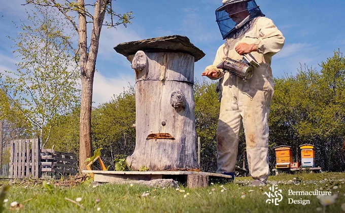 La ruche tronc est une ruche naturelle et écologique.