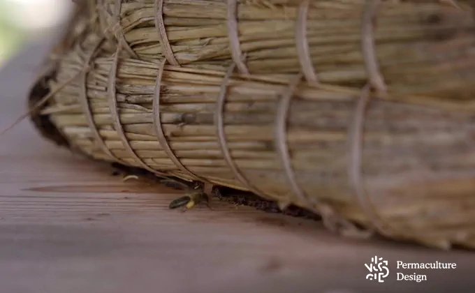 La ruche en paille est une ruche naturelle et écologique.