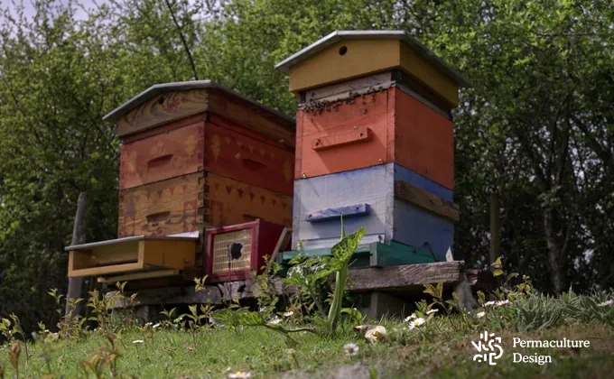 la ruche naturelle Warré