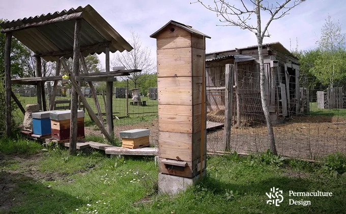La ruche japonaise est une ruche naturelle hybride.