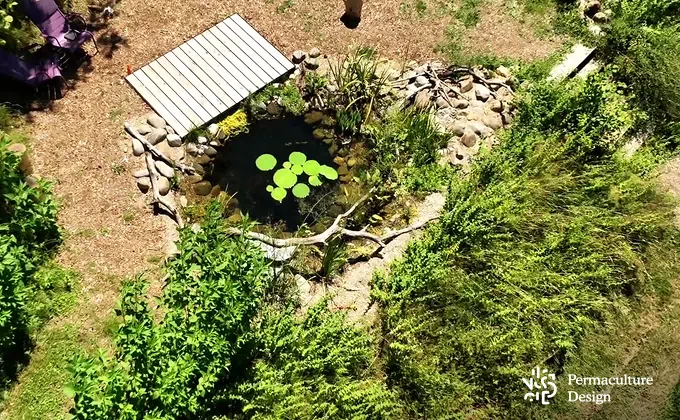 Mare naturelle magnifique vue du ciel