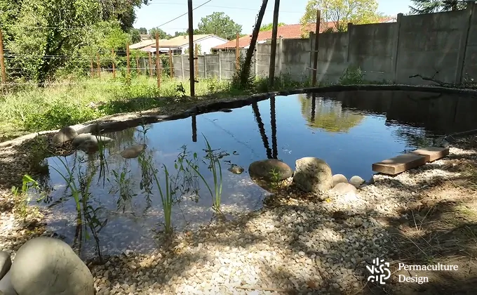 Mare naturelle avec stockage eau.