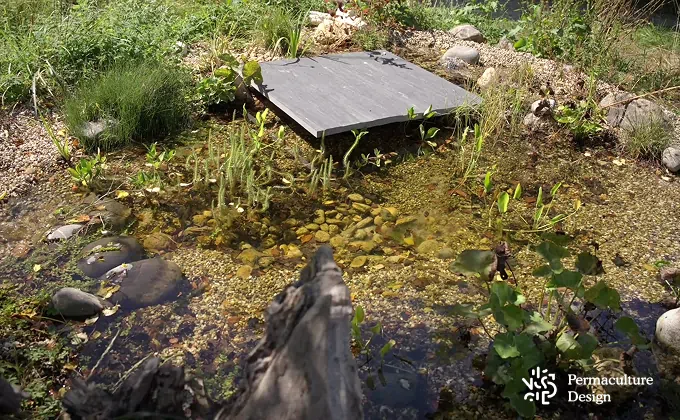 Mare de filtration, eau pure.