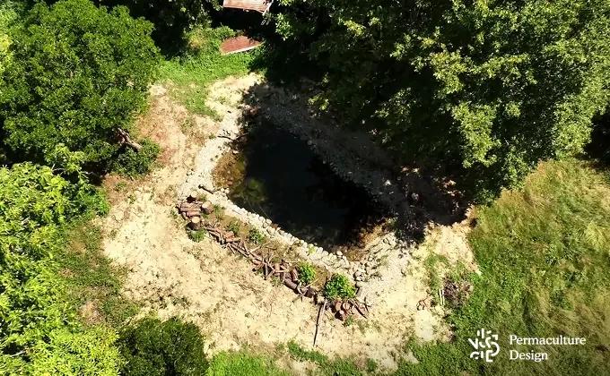 Mare naturelle pour les hirondelles.