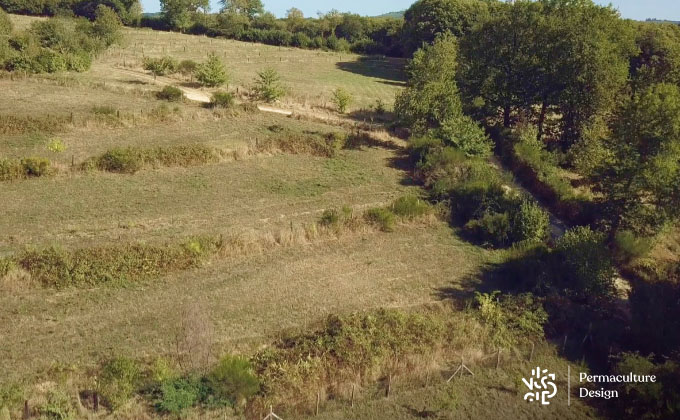 Vue générale sur des baissières.