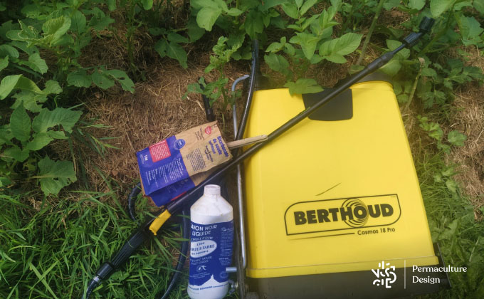 Équipement pour traitement contre le mildiou des tomates : pulvérisateur, bicarbonate de soude, savon noir
