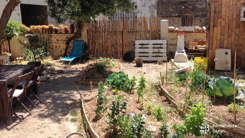 Buttes de cultures dans un petit jardin en permaculture en ville.