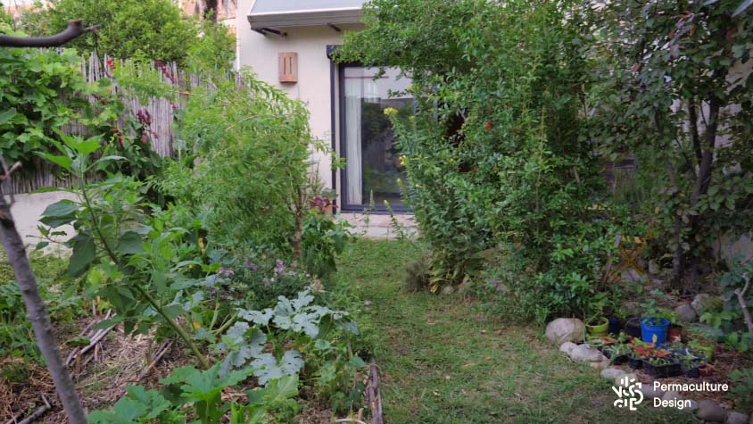 En ville, ce petit jardin en permaculture luxuriant incite les voisins à changer de pratiques pour un jardinage plus respectueux de la nature et du vivant.