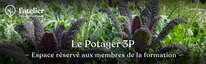 Formation permaculture Le Potager 3P