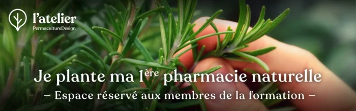 Formation permaculture Je plante ma première pharmacie naturelle