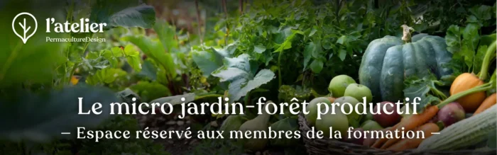 Formation permaculture Le micro jardin-forêt productif