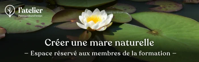 Formation permaculture Créer une mare naturelle