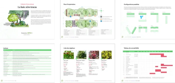 Formation permaculture Les haies de permaculture.
