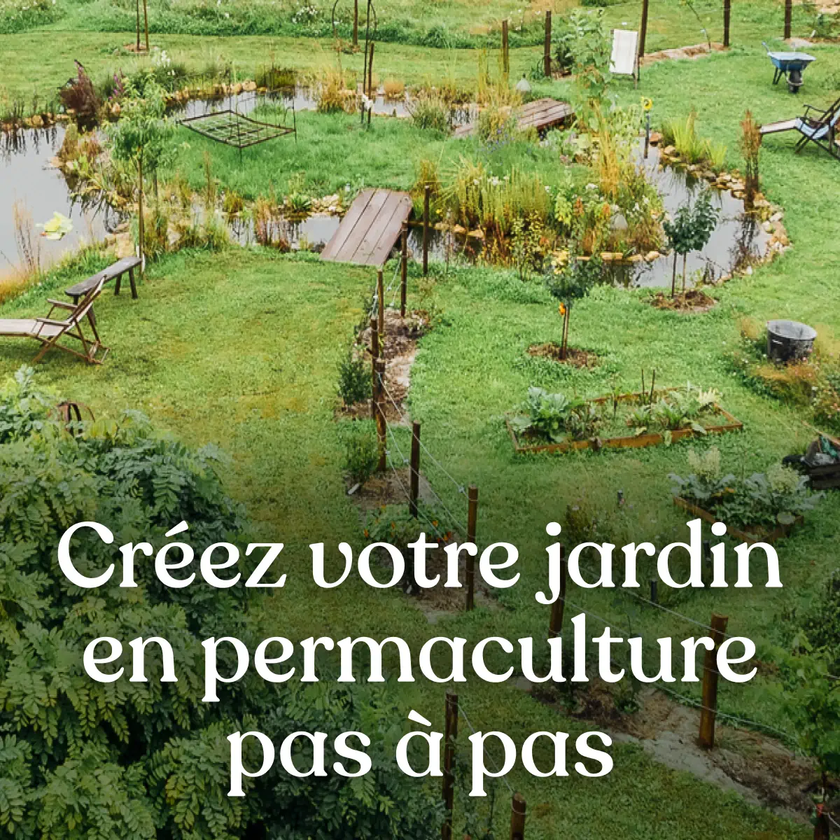 Invitez la permaculture dans votre jardin !