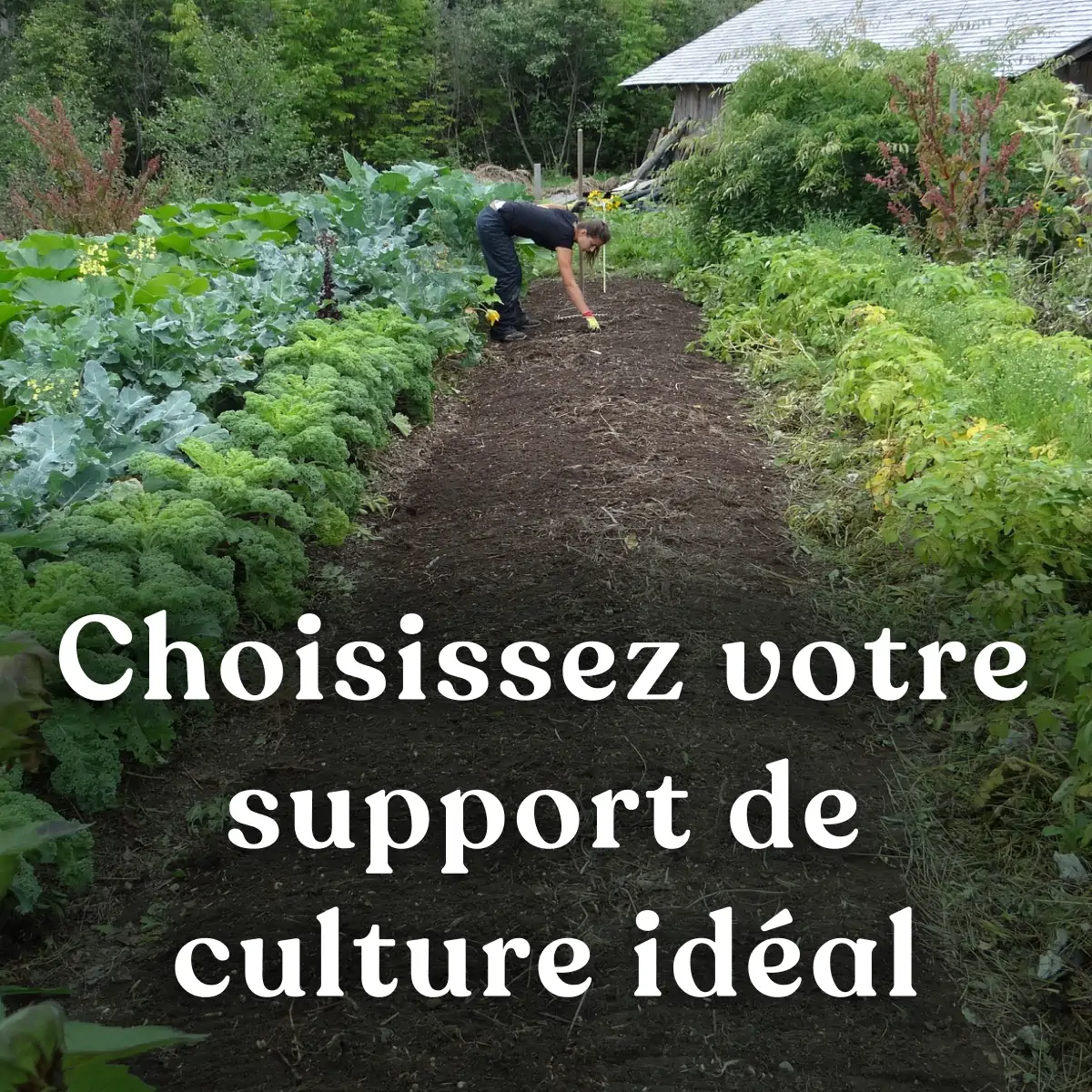 Choisissez votre support de culture idéal !