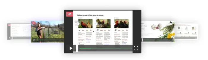 Vidéos Formation permaculture Les poules et le poulailler en permaculture