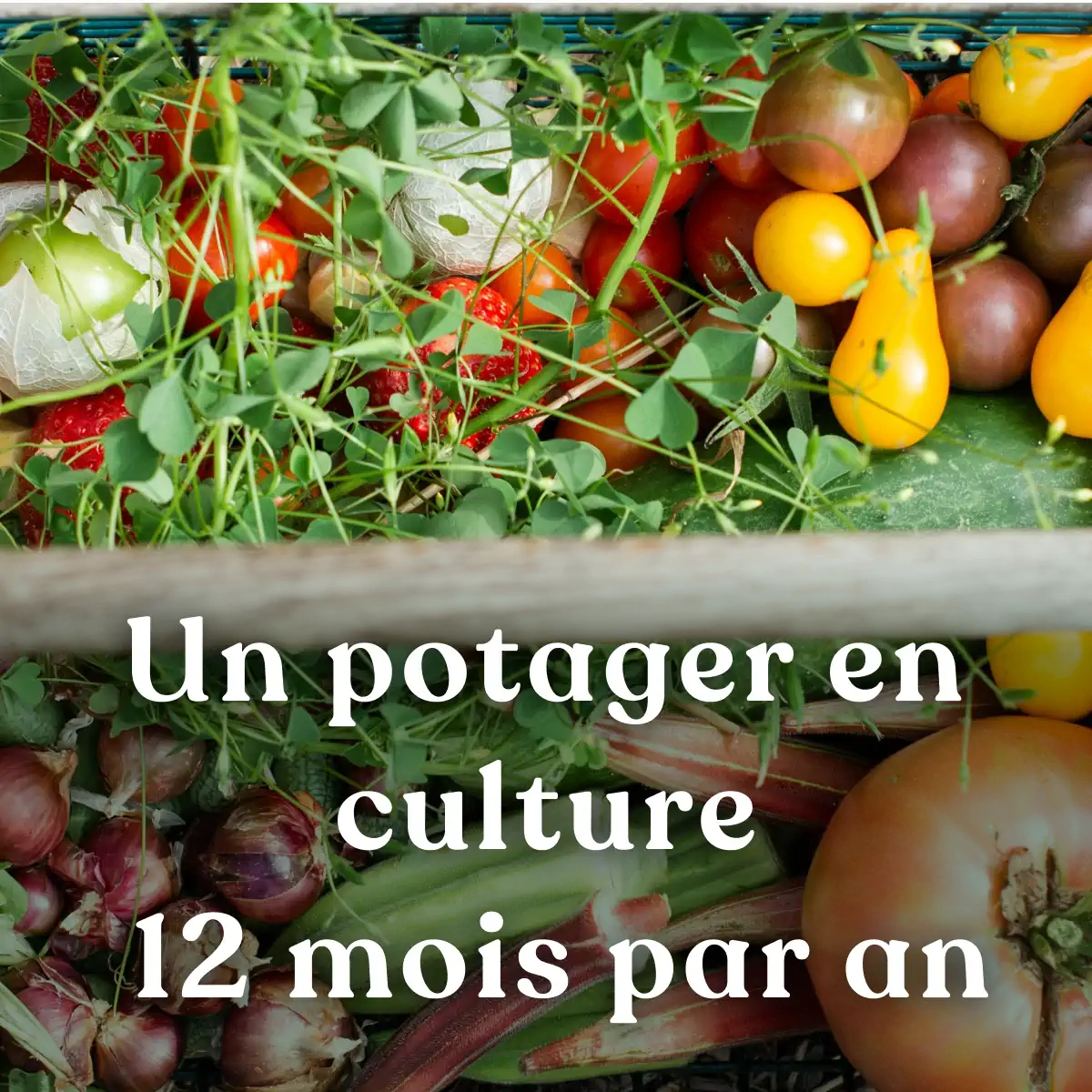 FV005 PV1 formation-permaculture-potager-perma-plus-complet